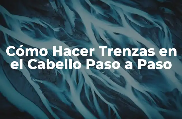 Cómo Hacer Trenzas en el Cabello Paso a Paso