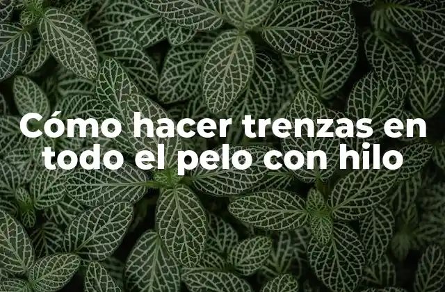 Cómo Hacer Trenzas en Todo el Pelo con Hilo