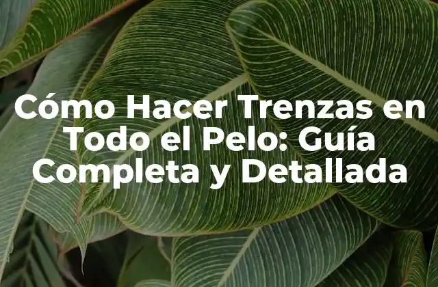 Cómo Hacer Trenzas en Todo el Pelo: Guía Completa y Detallada