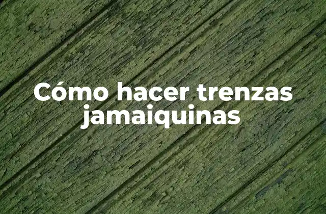 Cómo Hacer Trenzas Jamaiquinas