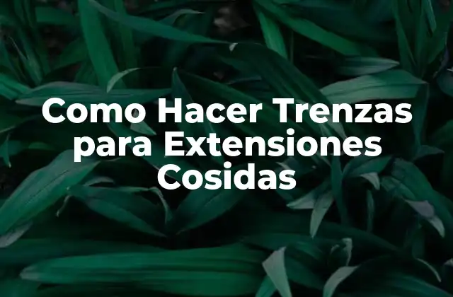 Como Hacer Trenzas para Extensiones Cosidas