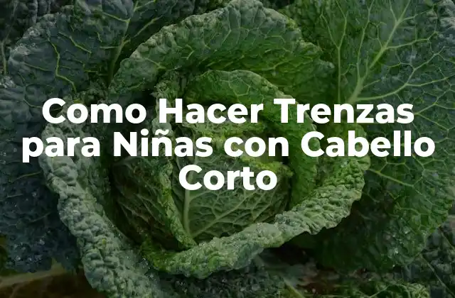 Comprende el Arte de Hacer Trenzas