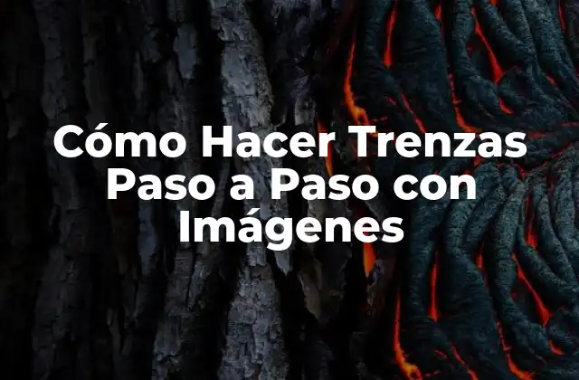 Cómo Hacer Trenzas Paso a Paso con Imágenes