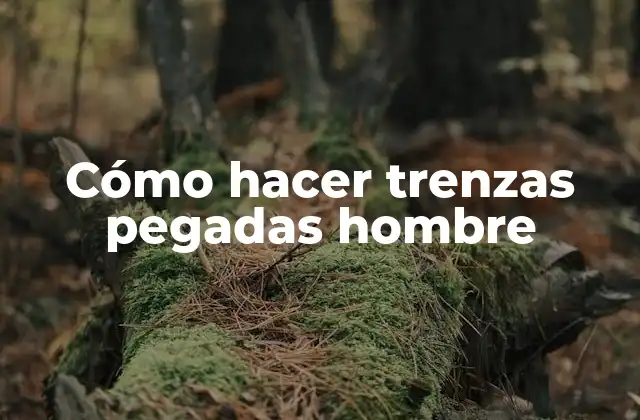 Cómo Hacer Trenzas Pegadas Hombre