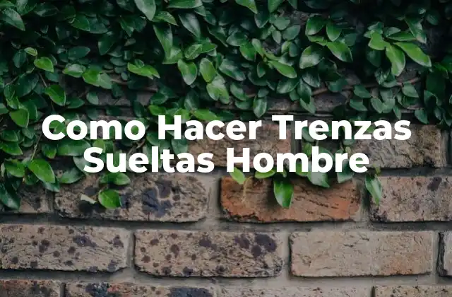 Como Hacer Trenzas Sueltas Hombre