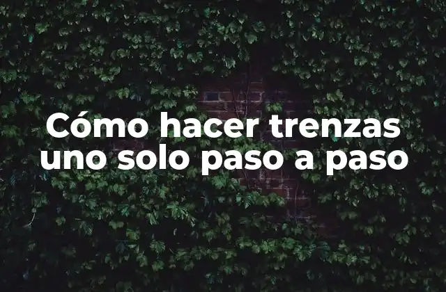 Cómo Hacer Trenzas Uno Solo Paso a Paso
