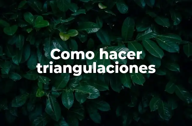 Como Hacer Triangulaciones