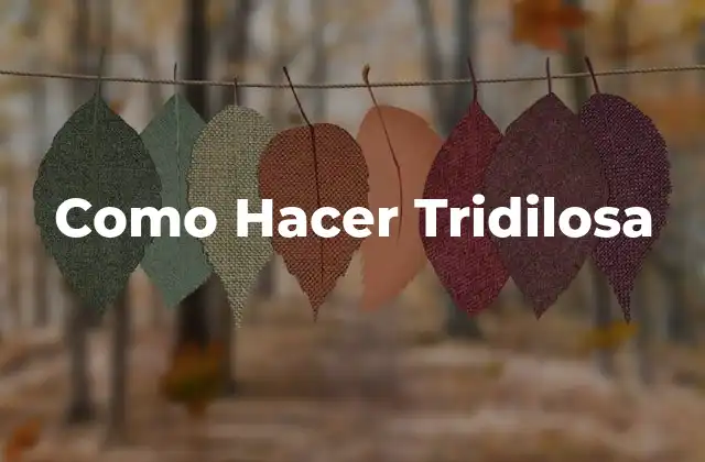 Como Hacer Tridilosa