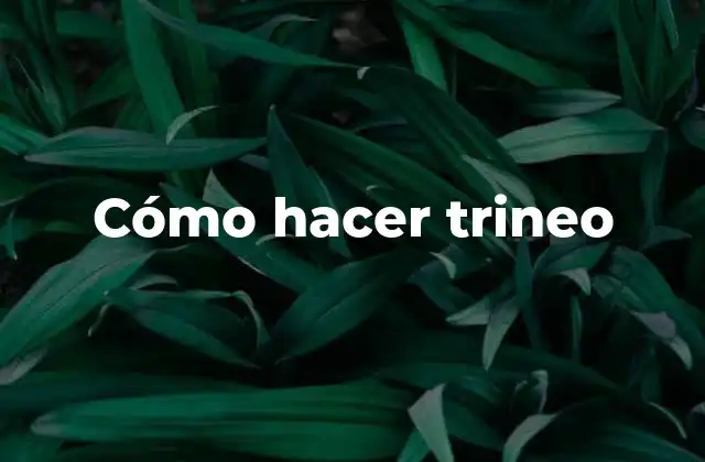 Cómo Hacer Trineo 2 Cómo hacer trineo