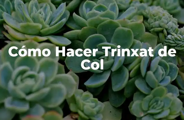 Cómo Hacer Trinxat de Col 2 ¿Qué es el Trinxat de Col?