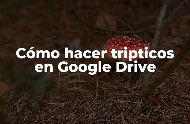 Cómo Hacer Tripticos en Google Drive