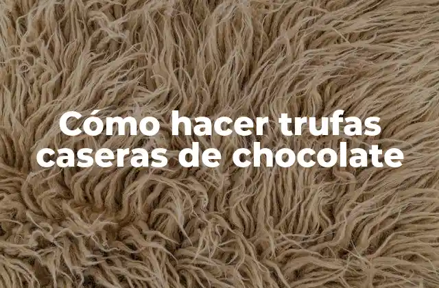 Cómo Hacer Trufas Caseras de Chocolate