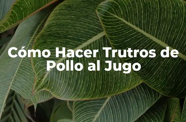 Cómo Hacer Trutros de Pollo Al Jugo