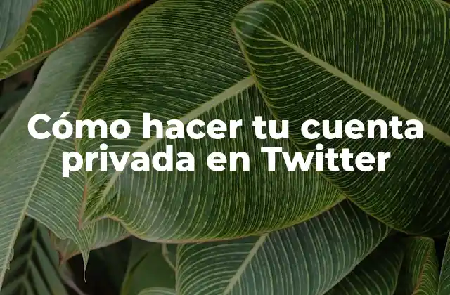 Cómo Hacer Tu Cuenta Privada en Twitter 2 Cómo hacer tu cuenta privada en Twitter