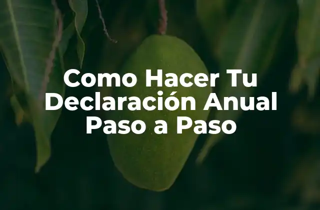 Como Hacer Tu Declaración Anual Paso a Paso 2 ¿Qué es la Declaración Anual de Impuestos?