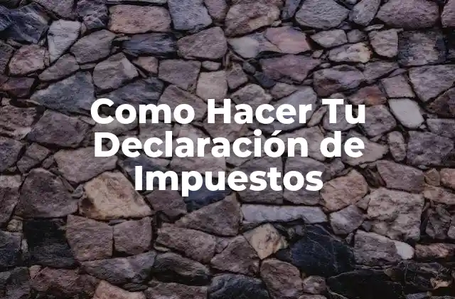 Como Hacer Tu Declaración de Impuestos