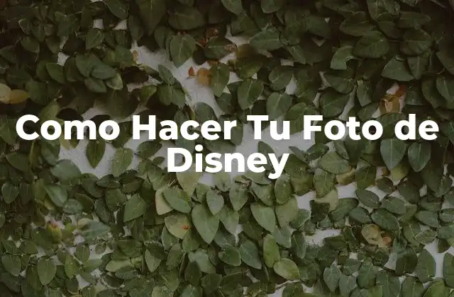 Como Hacer Tu Foto de Disney