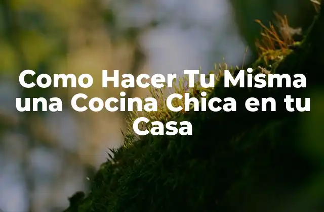 Como Hacer Tu Misma una Cocina Chica en Tu Casa