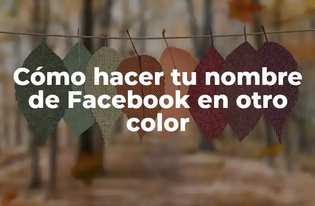 Cómo Hacer Tu Nombre de Facebook en Otro Color