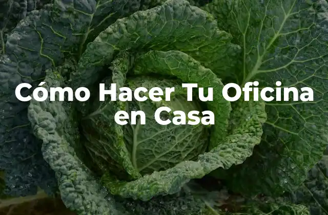 Cómo Hacer Tu Oficina en Casa