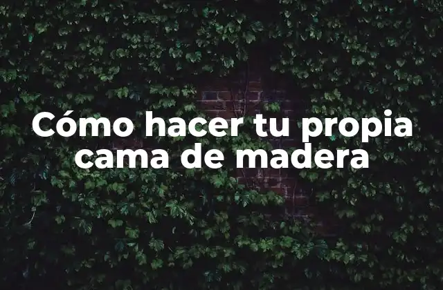 Cómo Hacer Tu Propia Cama de Madera