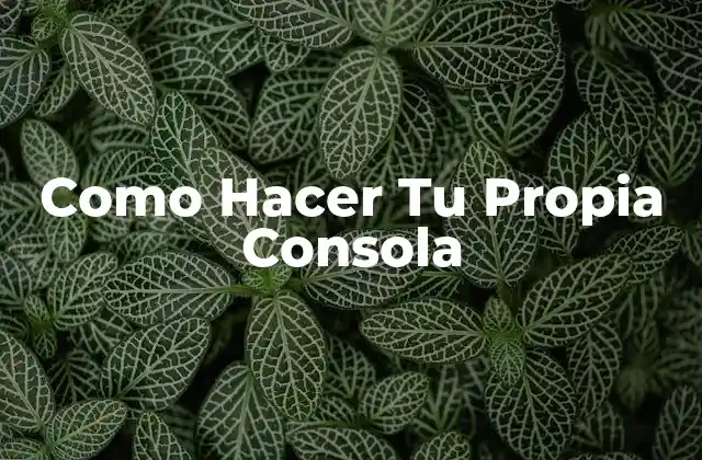 Como Hacer Tu Propia Consola 2 ¿Qué es una Consola de Juegos Personalizada?