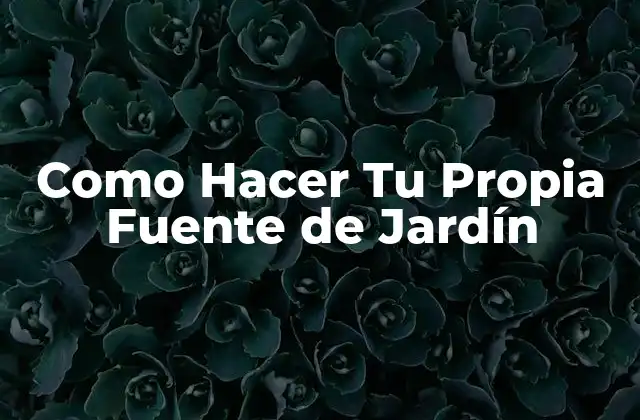 Como Hacer Tu Propia Fuente de Jardín