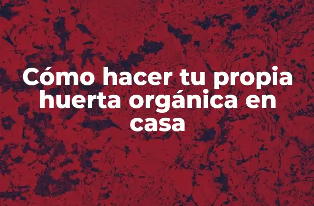 Cómo Hacer Tu Propia Huerta Orgánica en Casa
