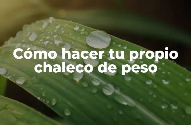 Cómo Hacer Tu Propio Chaleco de Peso 2 ¿Qué es un chaleco de peso y para qué sirve?