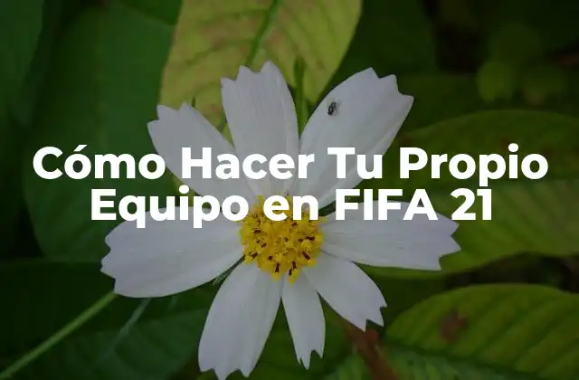 Cómo Hacer Tu Propio Equipo en Fifa 21