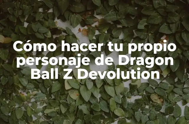 Cómo hacer tu propio personaje de Dragon Ball Z Devolution