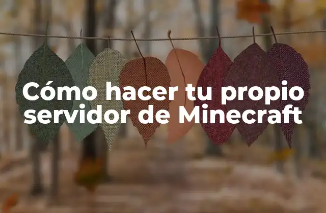 Cómo Hacer Tu Propio Servidor de Minecraft