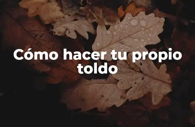 Cómo Hacer Tu Propio Toldo