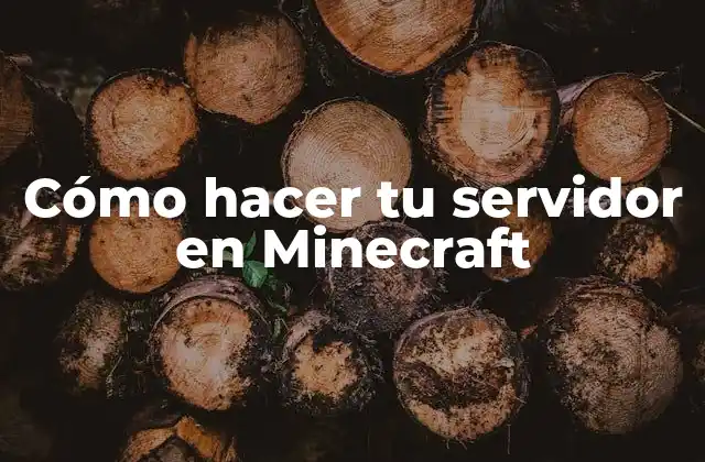 Cómo Hacer Tu Servidor en Minecraft