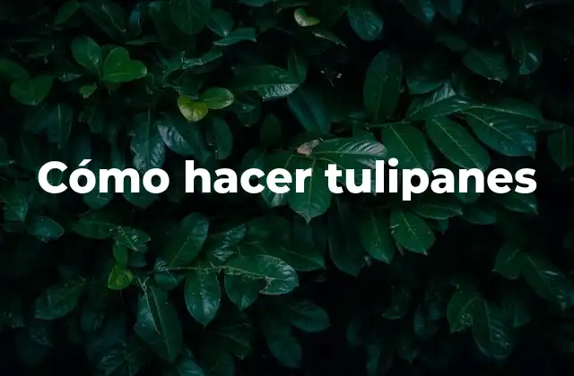 Cómo Hacer Tulipanes 2 Cómo hacer tulipanes
