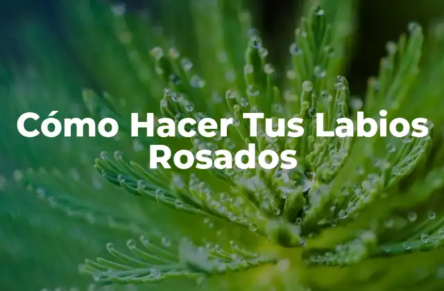 Cómo Hacer Tus Labios Rosados