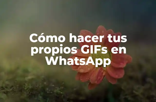 Cómo Hacer Tus Propios Gifs en Whatsapp
