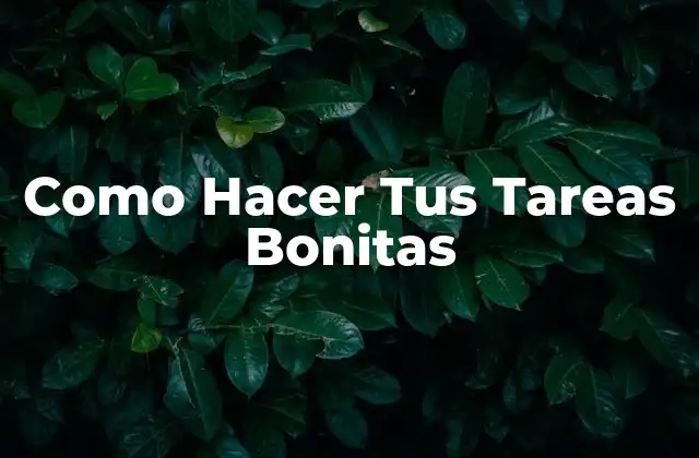 Como Hacer Tus Tareas Bonitas