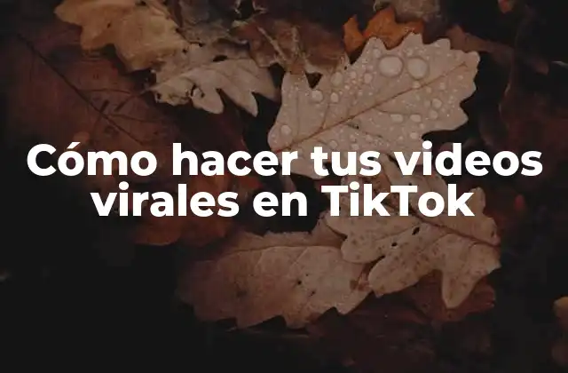 Cómo Hacer Tus Videos Virales en Tiktok