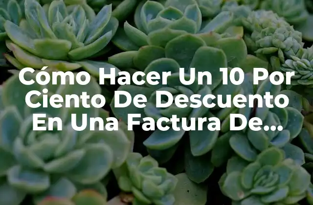 ¿Qué Es Un Descuento y Cómo Funciona?