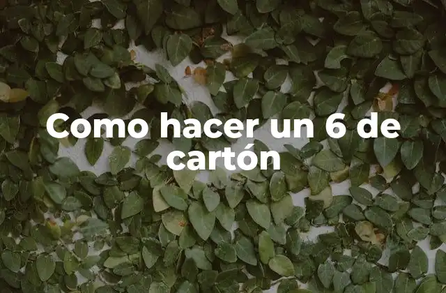 ¿Qué es un 6 de cartón?