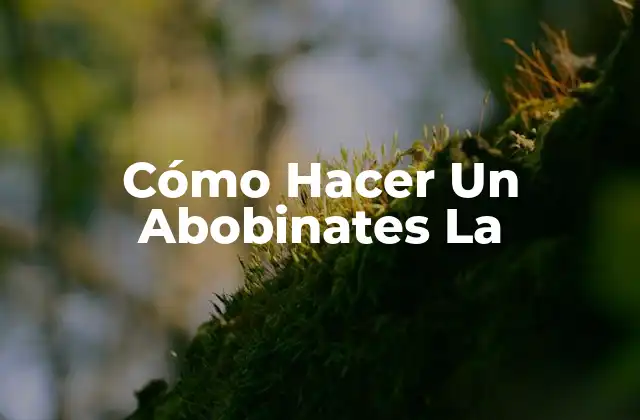 ¿Qué es Un Abobinates La?