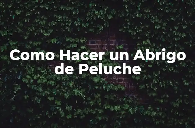 Como Hacer un Abrigo de Peluche