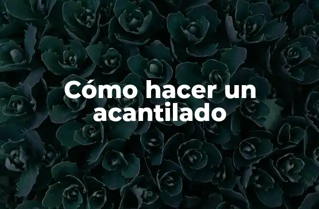 ¿Qué es un acantilado?