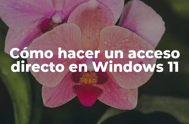 Cómo Hacer un Acceso Directo en Windows 11
