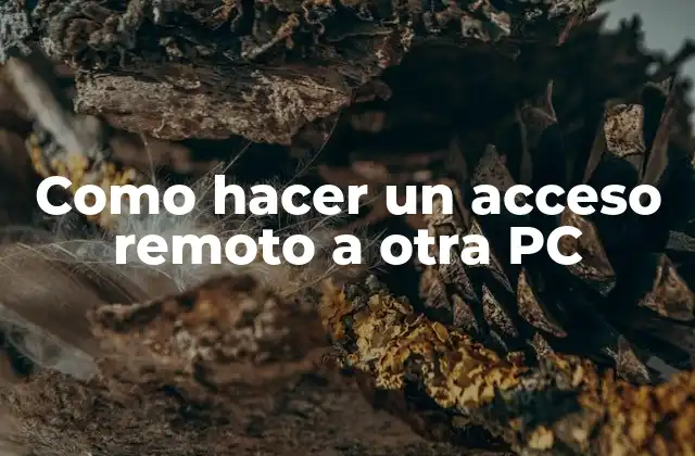 Como Hacer un Acceso Remoto a Otra Pc