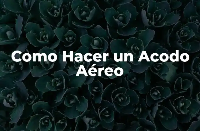 ¿Qué es un Acodo Aéreo y para Qué Sirve?