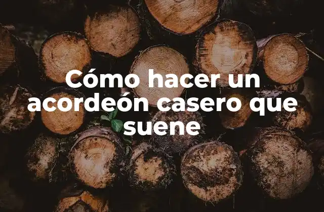 Cómo Hacer un Acordeón Casero que Suene