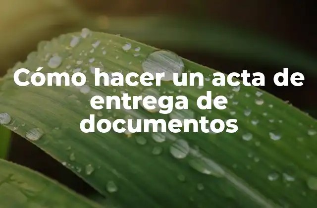 Cómo Hacer un Acta de Entrega de Documentos