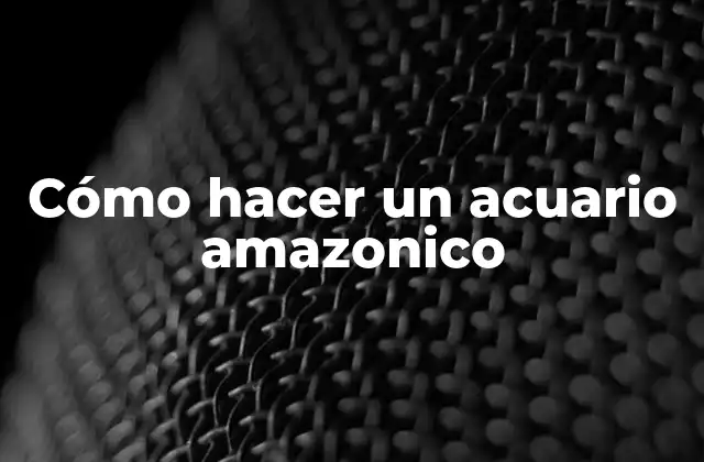 Cómo Hacer un Acuario Amazonico 2 Cómo hacer un acuario amazonico